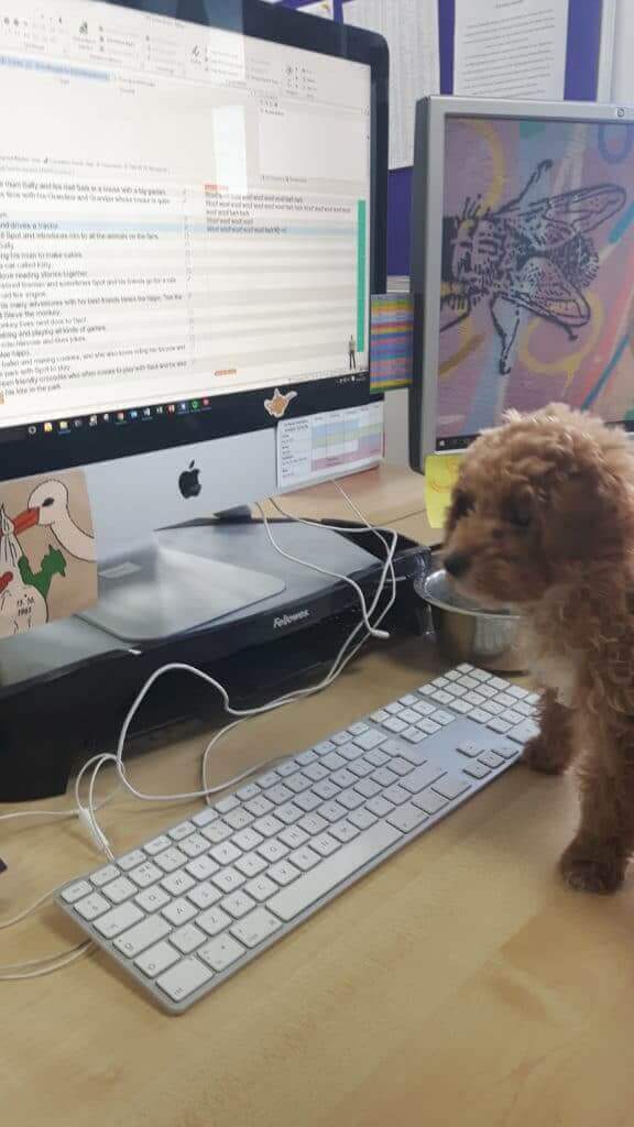macey working at desk