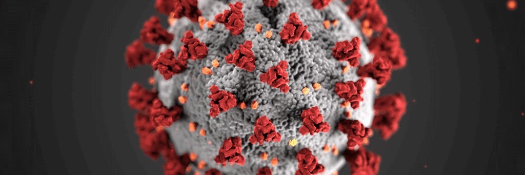 coronavirus close up